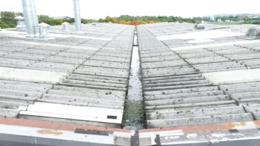 Wide-angle shot of the pre-existing asbestos roof