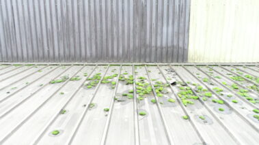 Old asbestos roof showcasing its need for an overclad solution.
