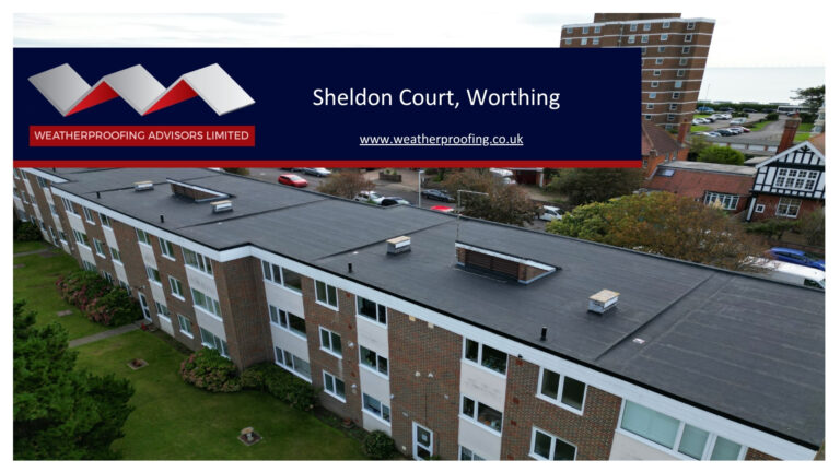 Spotlight On Service Sheldon Court